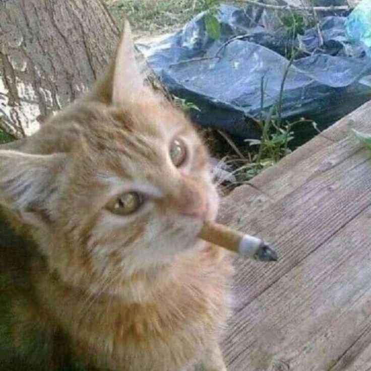 Me