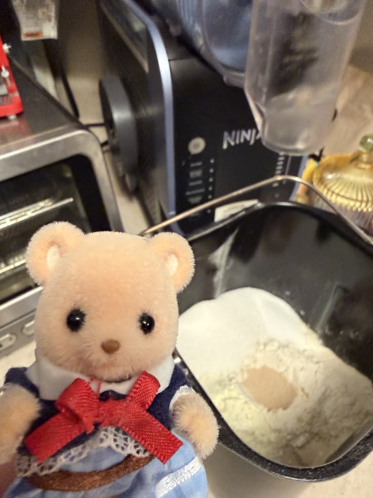 critter and yeast in pan