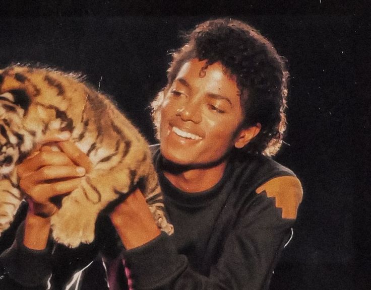 Like i said i love Michael Jackson,BUT i also like metal,Malcom Todd basically anything (^∧^)