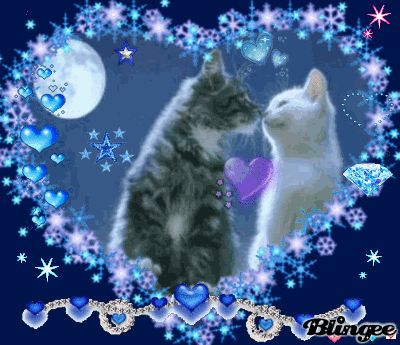 cats