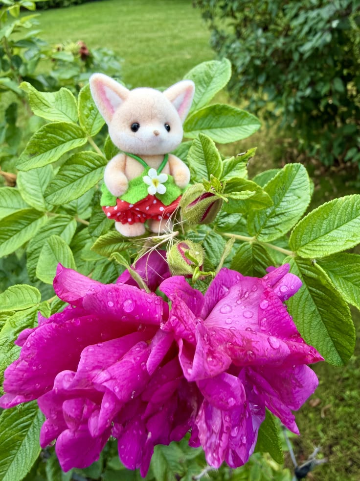 critter on flower
