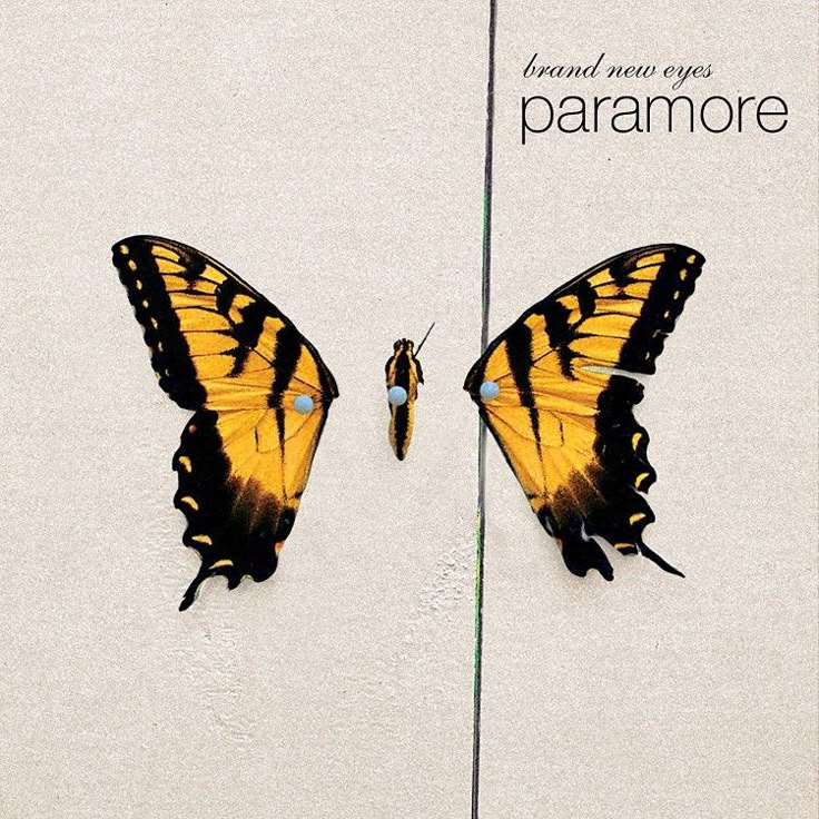 Paramore3