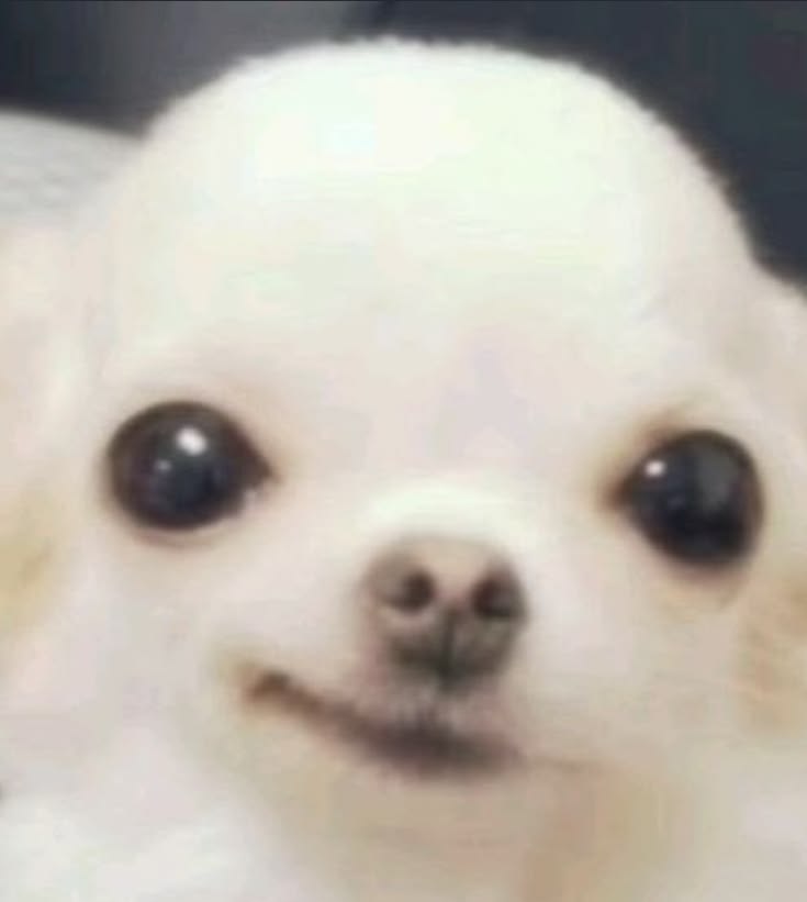 boiii