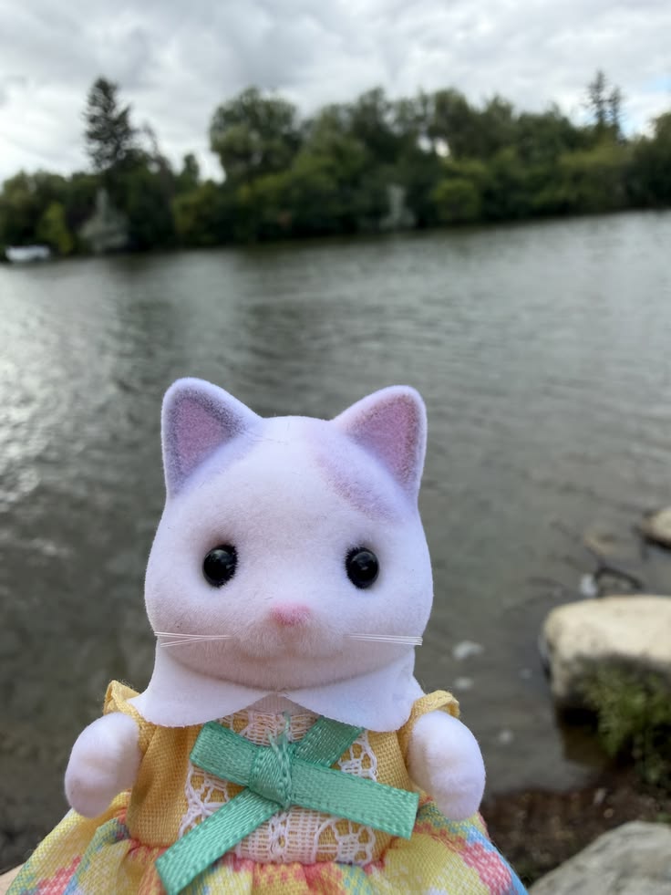 critter lake