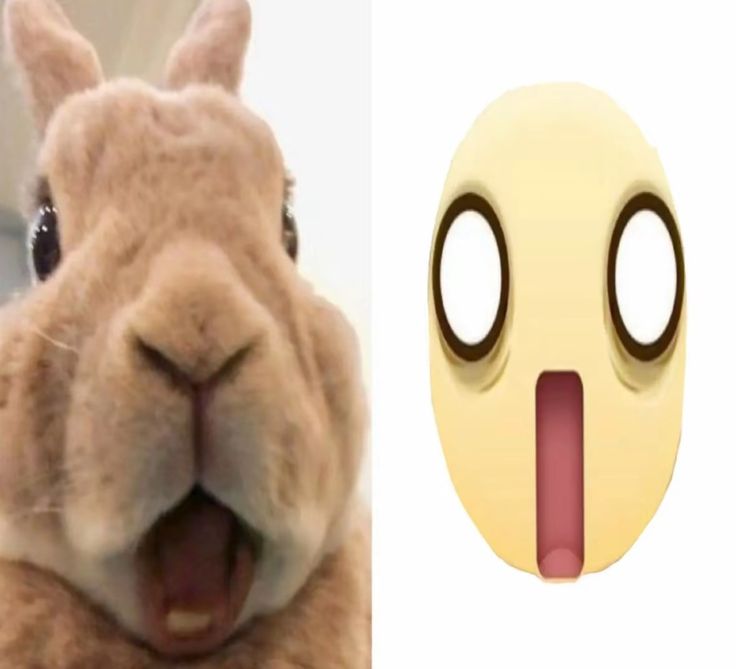 :0