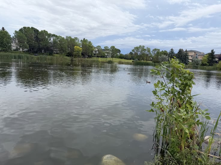 open water