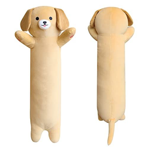 Cute dog