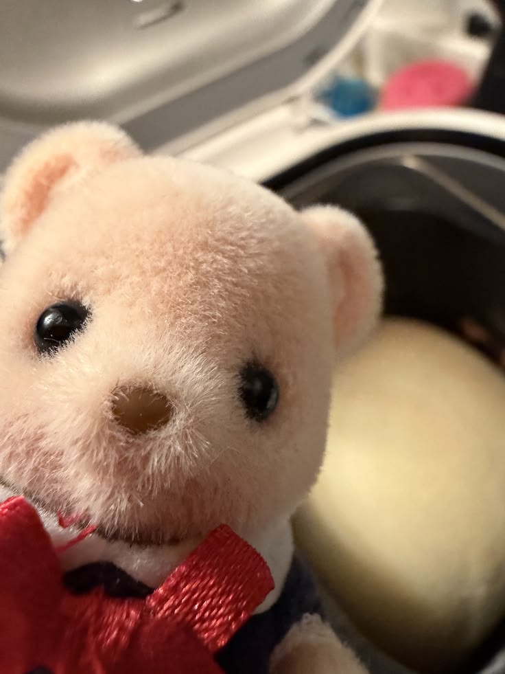 proud bear