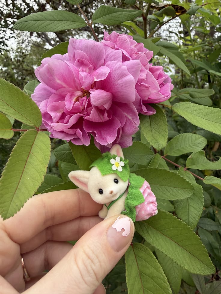 Peony