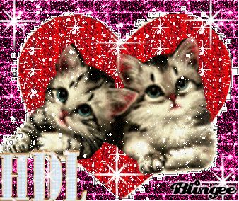 cats