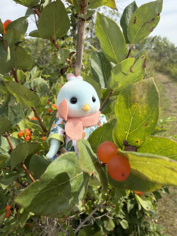 in the tree