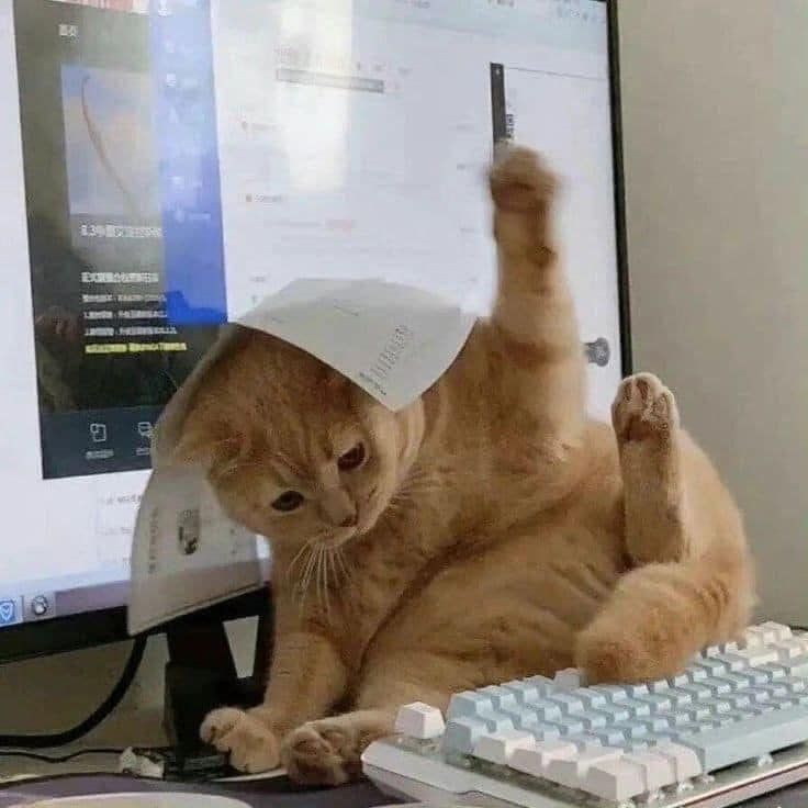 big boi