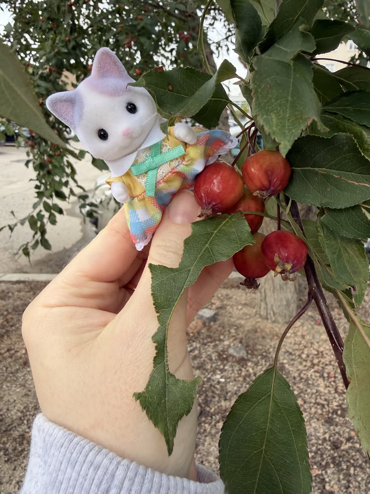 berries