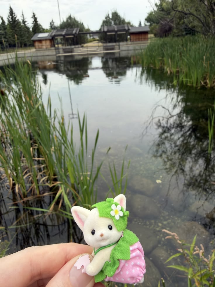 pond