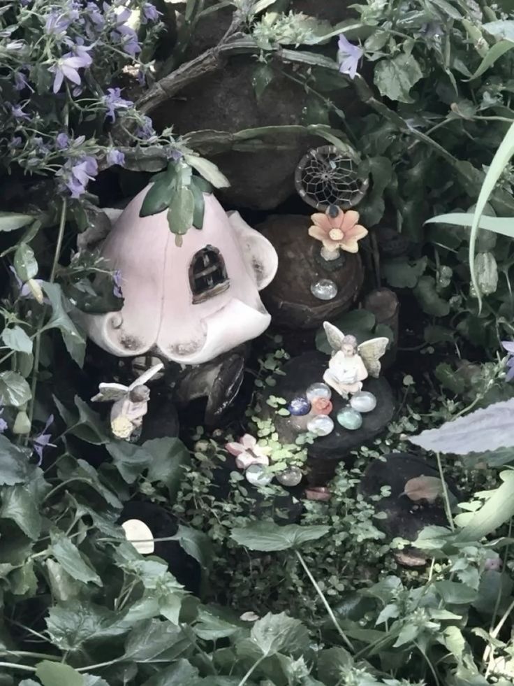 fairy