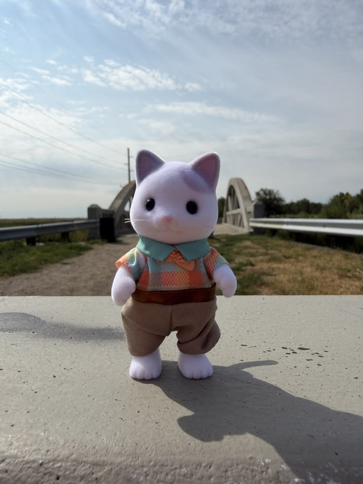 Bridge