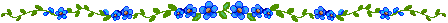 blueflowervine.png