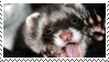 A friendly demo image