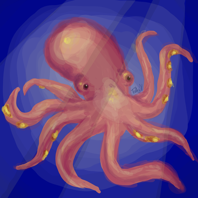 🐙