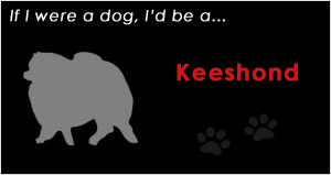 Keeshond