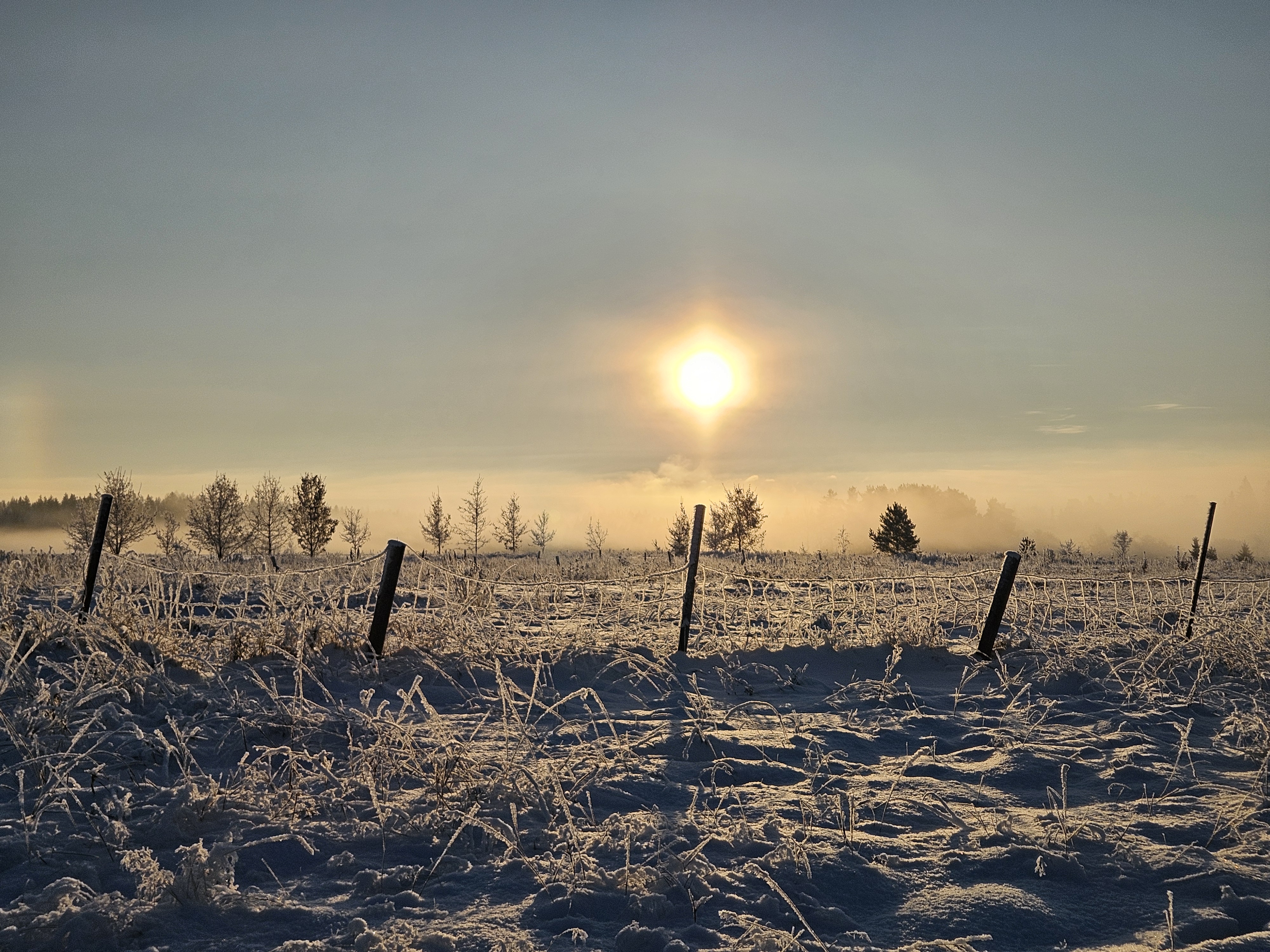 winter