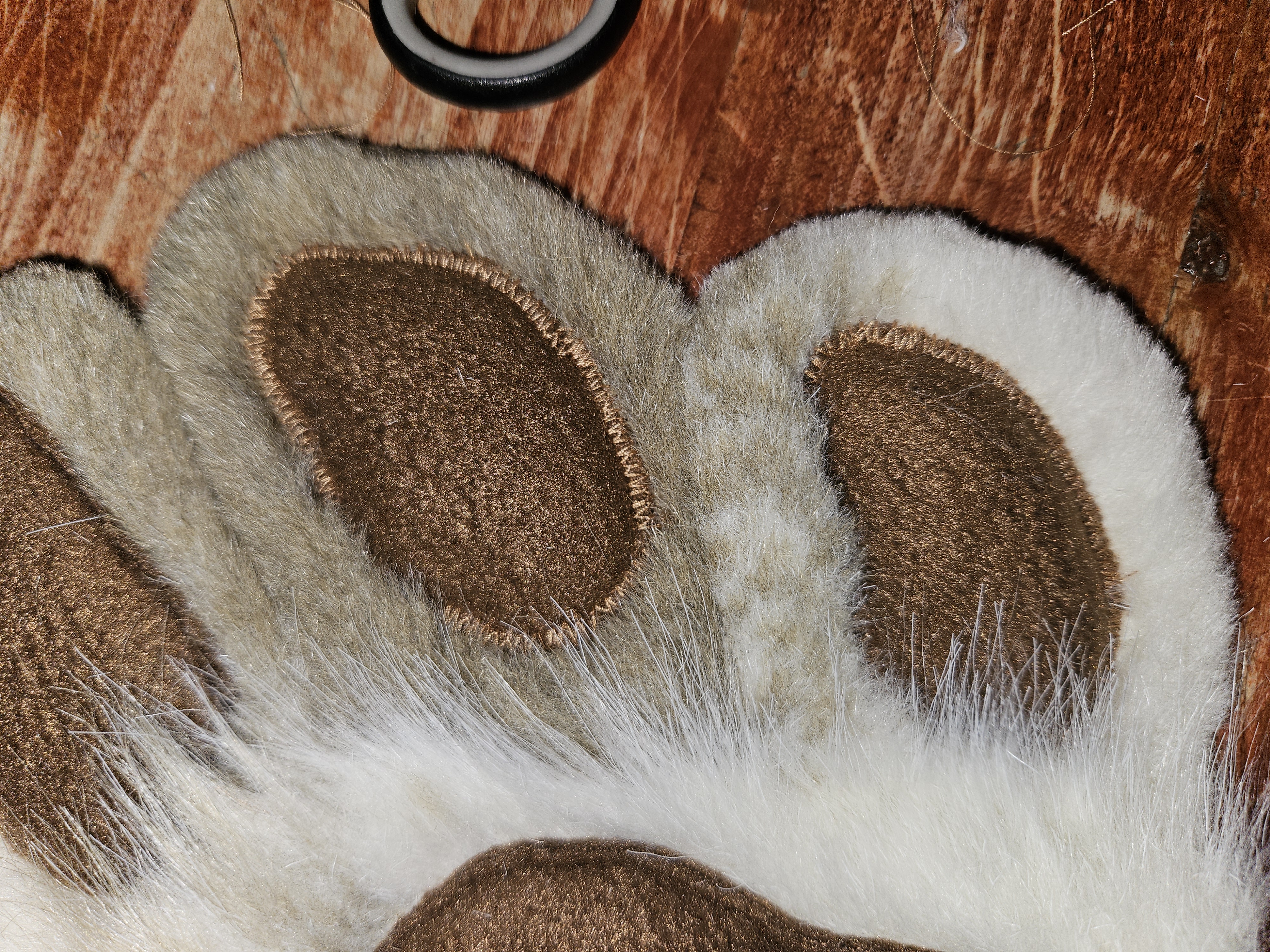 pawz
