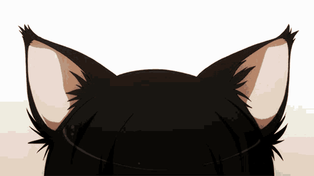 Catboy GIF