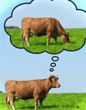 COW EATS