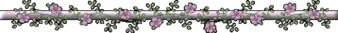 image host