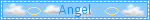 🪽