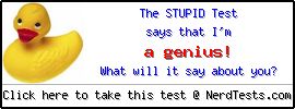 The Stupid Test -- Make and Take a Fun Quiz @ NerdTests.com's User Tests!