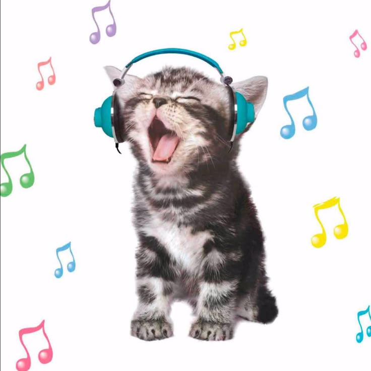 im so cool with music😼