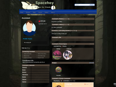 Layout Preview