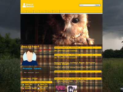 Layout Preview