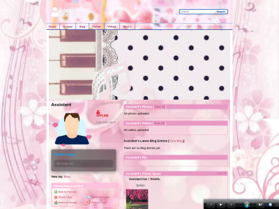 Layout Preview