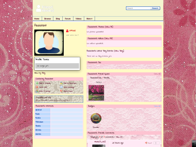 Layout Preview