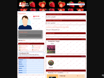 Layout Preview