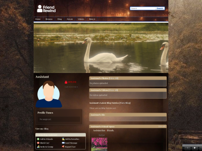 Layout Preview