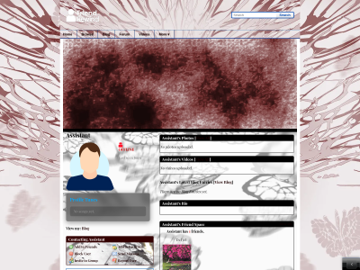 Layout Preview