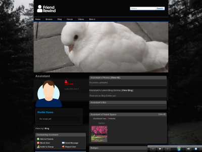 Layout Preview