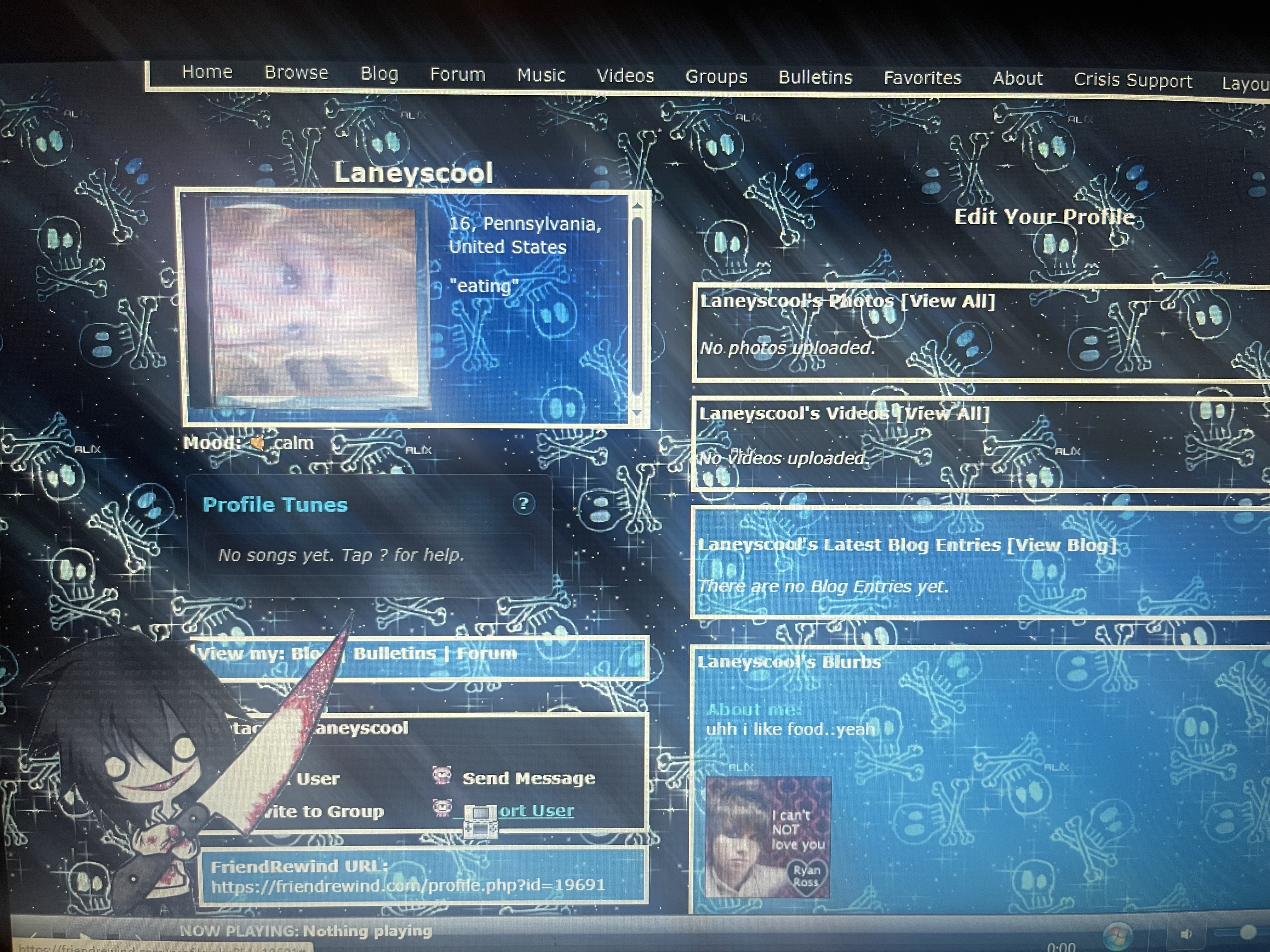 Laneys really cool fire layout