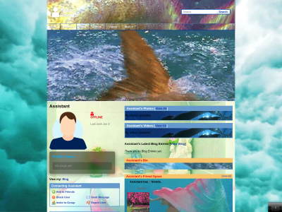 Layout Preview