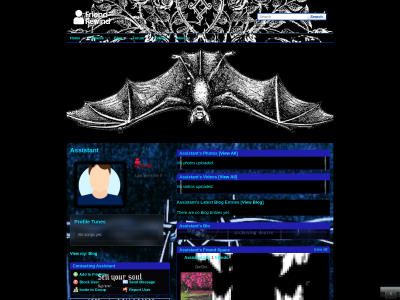 Layout Preview