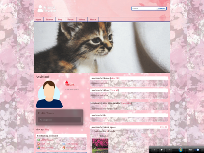 Layout Preview