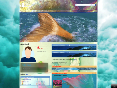 Layout Preview