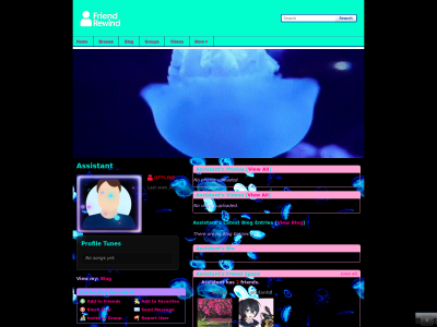 Jellyfishes