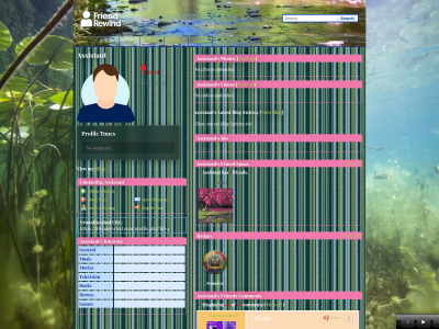 Layout Preview