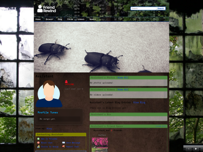 Layout Preview