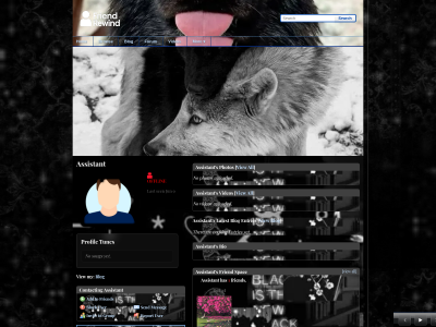 Layout Preview