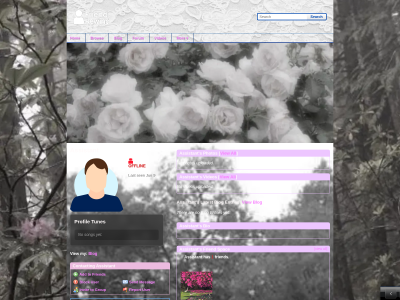 Layout Preview